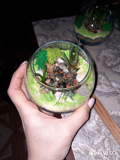 Флорариум мини на заказ