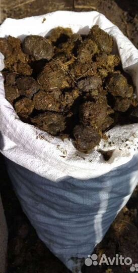 Перегной каровий навоз конский навоз
