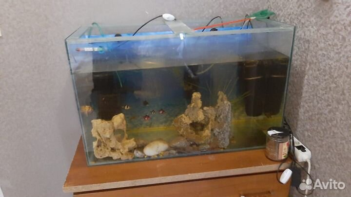 Аквариум 150 литров