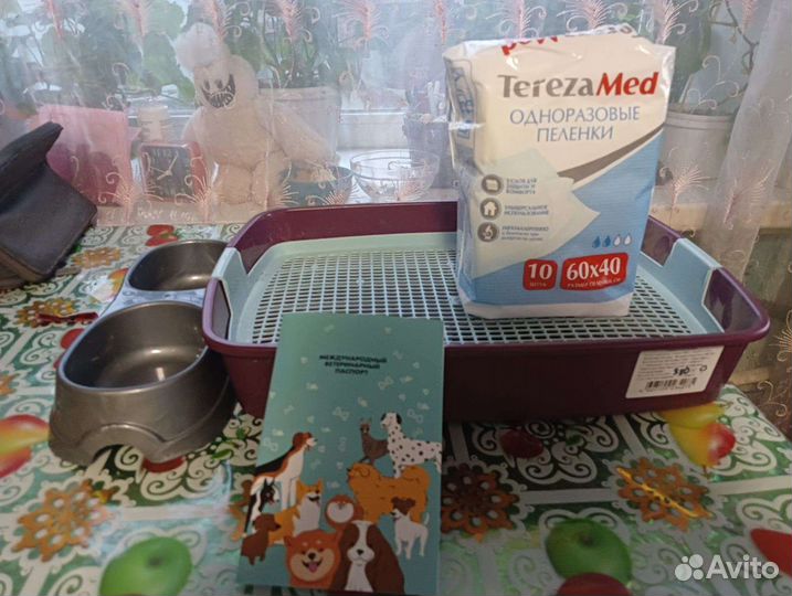 Донской сфинкс