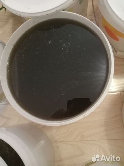 Мед каштановый с присутствием липы