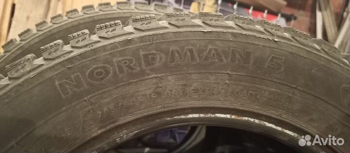Nordman 5 205/60 R16 96T