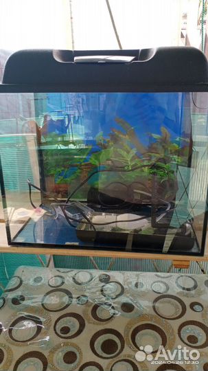 Аквариум