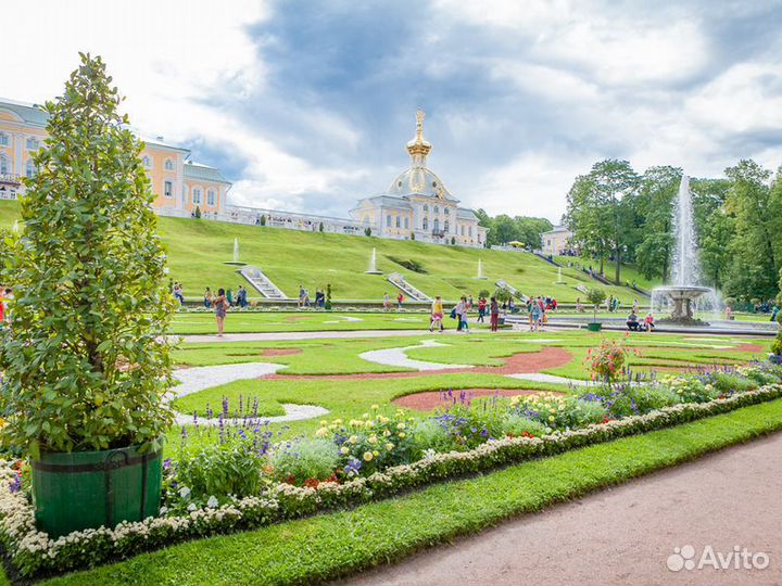 Санкт-Петербург Топ-Экскурсия Фото-экскурсия «Пете