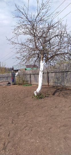 Участок 3 сот. (СНТ, ДНП)