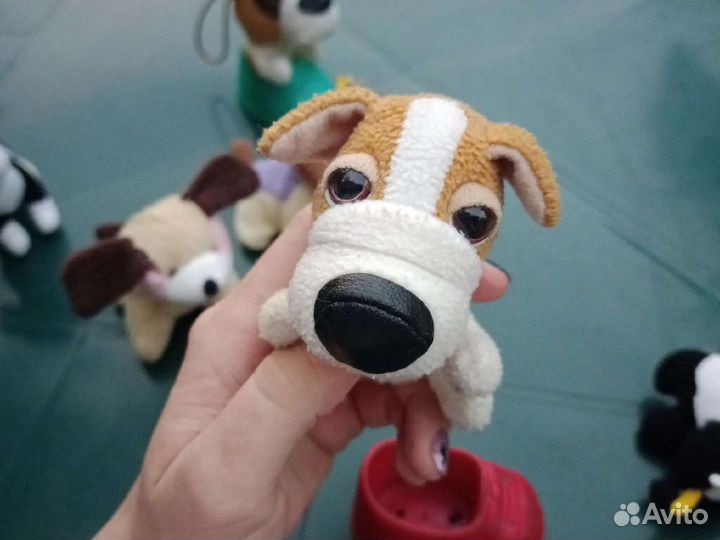 Собака в ботинке из Макдональдса