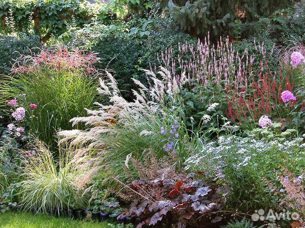 Сад благоустройство