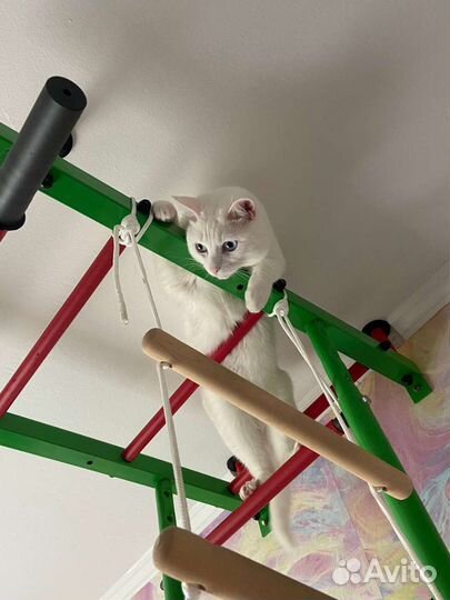 Детская шведская стенка