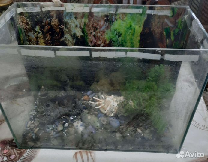 Аквариум