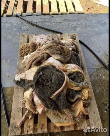 Отходы для собак