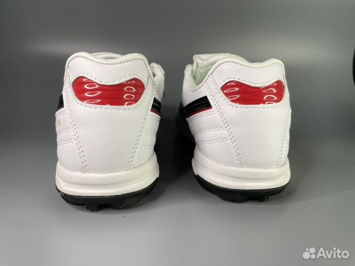 Сороконожки mizuno