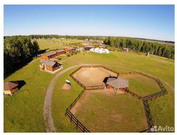 Постой для лошадей/Аренда денника