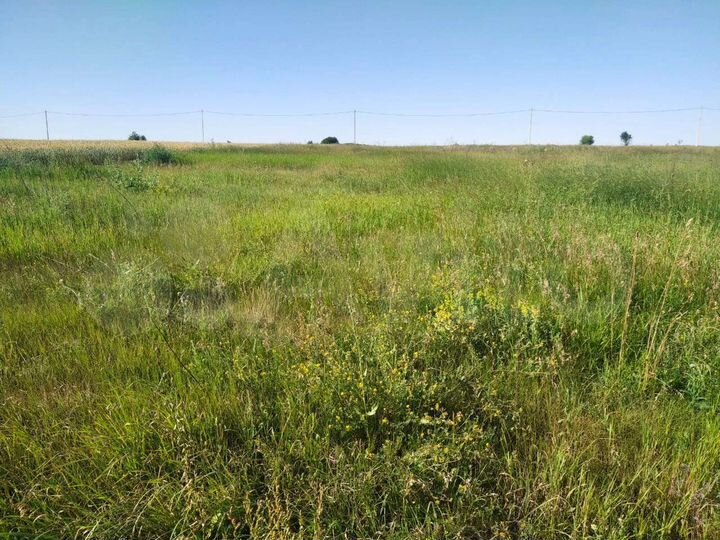 Участок 2,5 га (ИЖС)