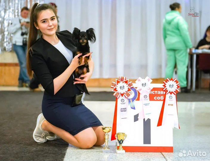 Хендлер Новосибирск и Академ