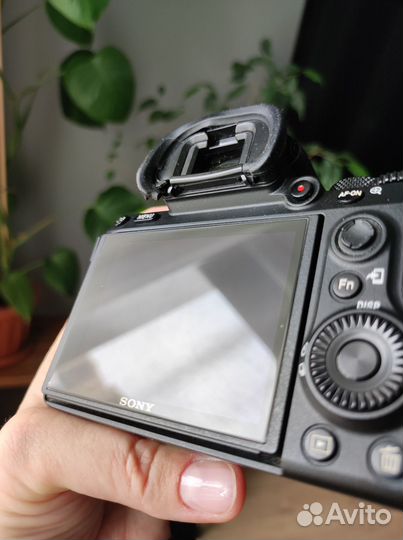 Камера Sony a7m3