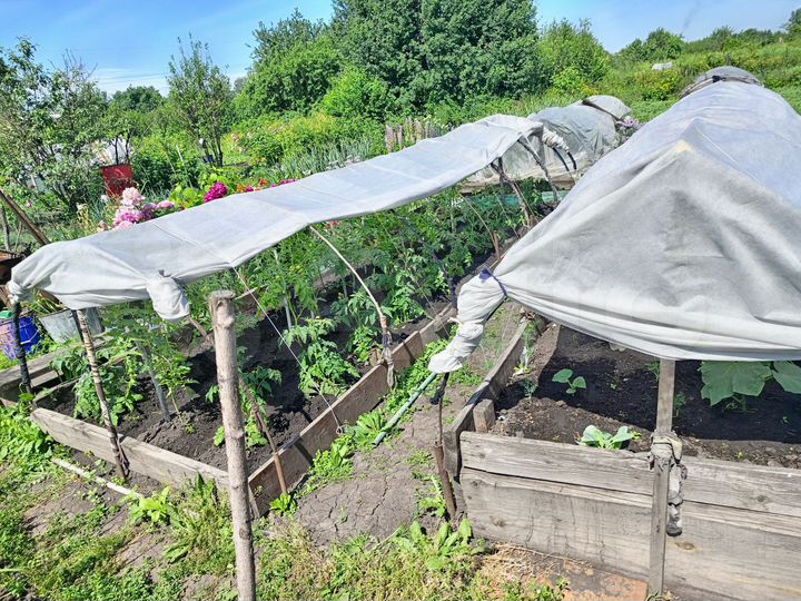 Участок 3,9 сот. (СНТ, ДНП)