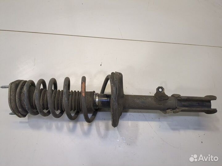 Амортизатор подвески Toyota Camry V40, 2008