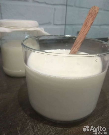 Тибетский молочный гриб кефирный