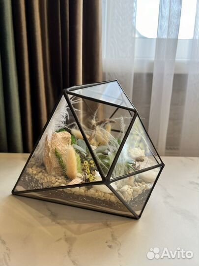 Флорариум. живые цветы. Подарок