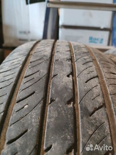 Dunlop All Season Maxx AS1 195/65 R15