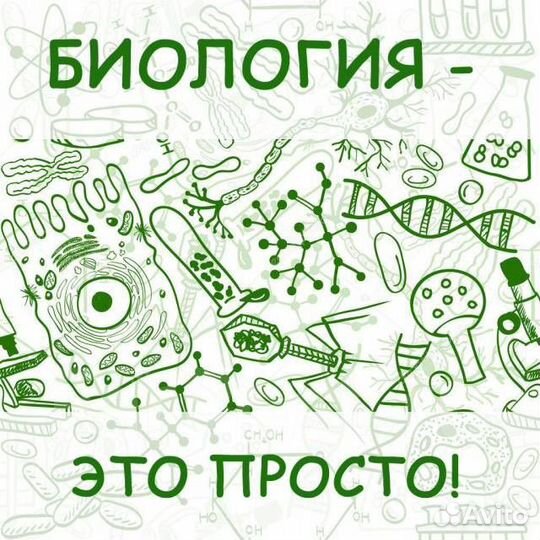 Репетитор по биологии