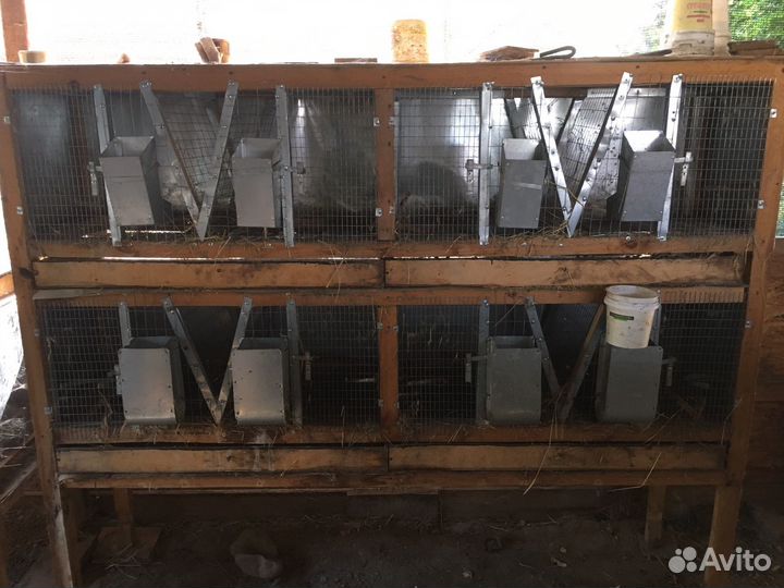 Клетки для кроликов