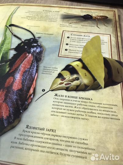 Энциклопедии с 3D рисунками