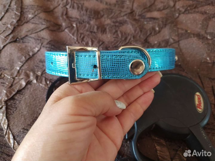 Поводок рулетка для собак 4,5 м, ошейник