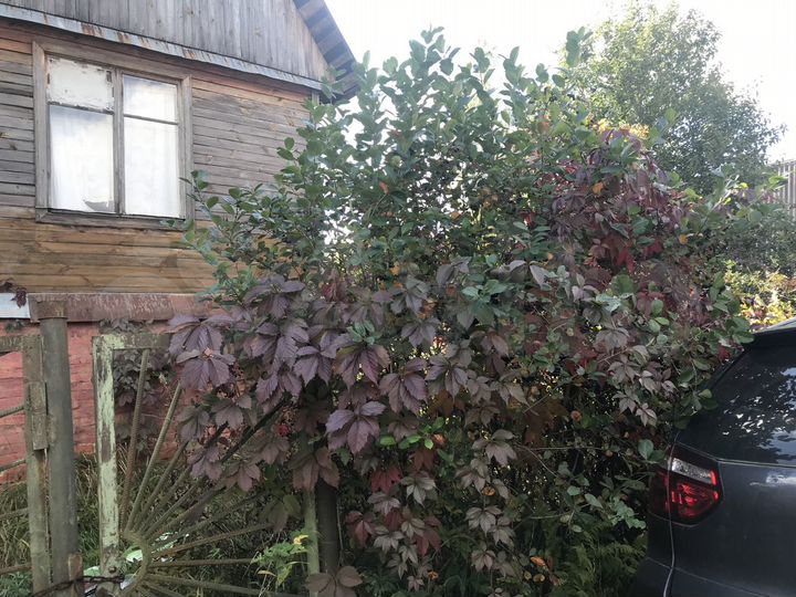 Дача 66 м² на участке 6 сот.