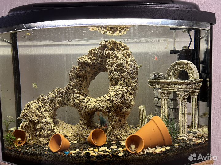 Аквариум с тумбой 60л