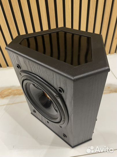 Центральный канал Tannoy 623