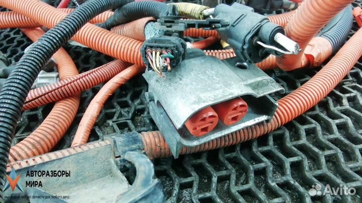 Электропроводка бензиновая Lexus RX 2 2005