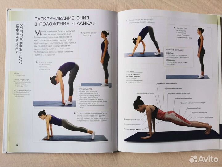 Анатомия пилатеса. Книга