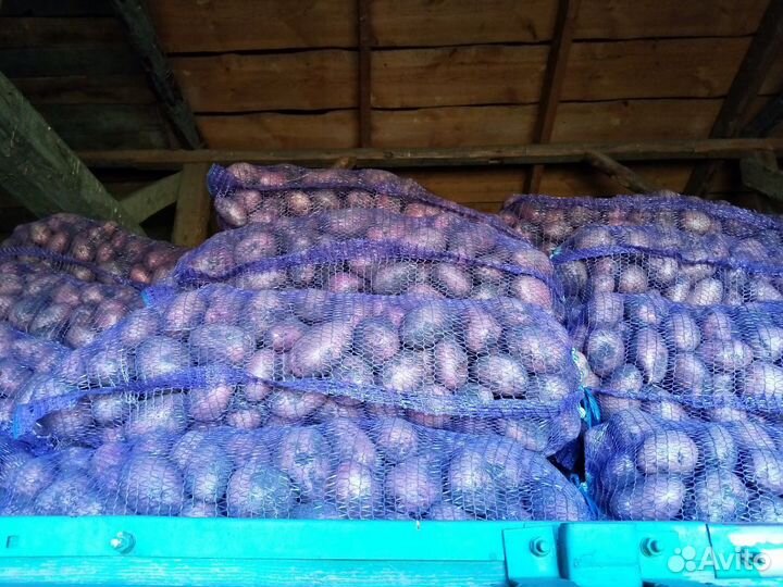 Продам картофель