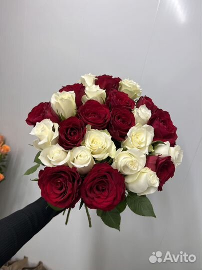 101 роза цветы