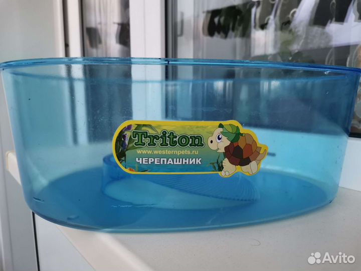 Аквариум черепашник