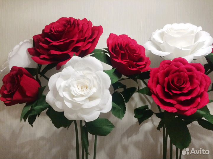 Цветы ростовые