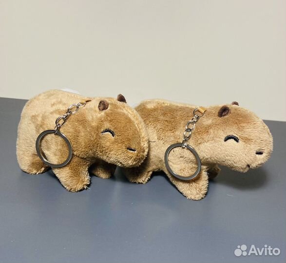 Брилок-Капибара