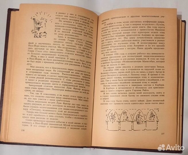 Животные-герои. Э. Сетон-Томпсон