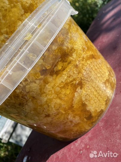 Мед забрус 2023