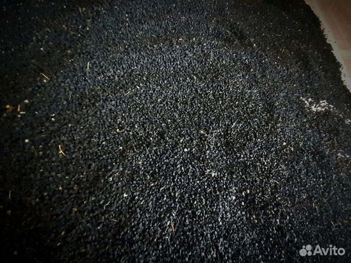 Семена чернушки