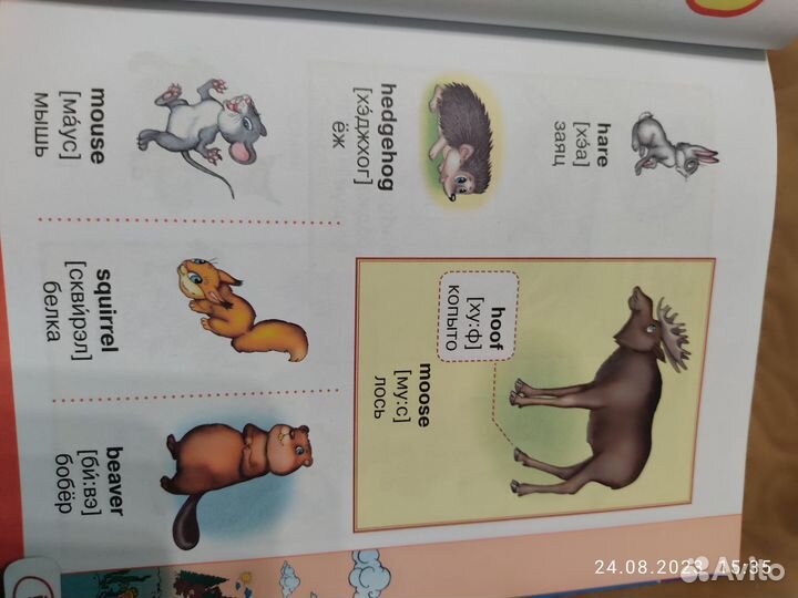 Английский визуальный словарь с произношением