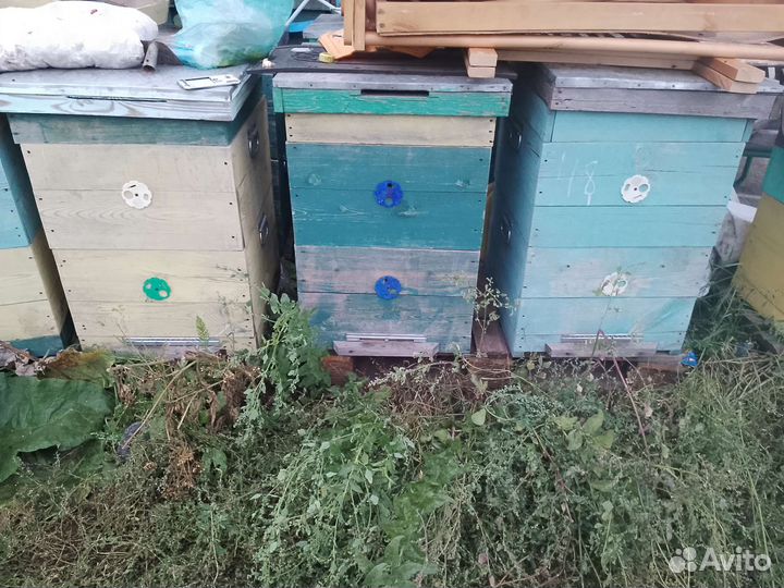 Улей для пчел бу