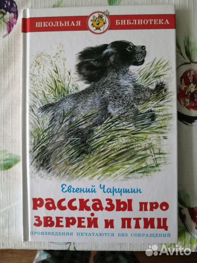 Книги для внеклассного чтения 1-4 класс
