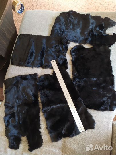 Шкурка животного