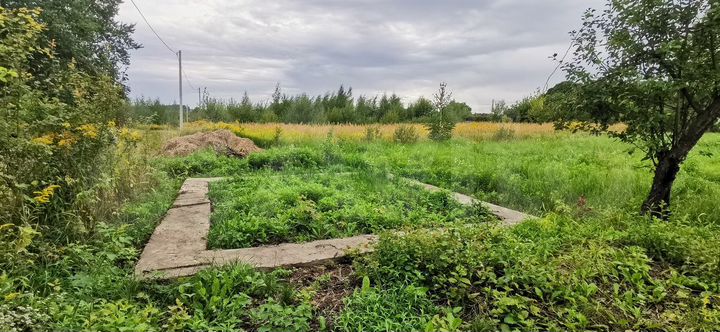 Участок 8,7 сот. (СНТ, ДНП)