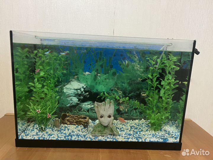 Аквариум