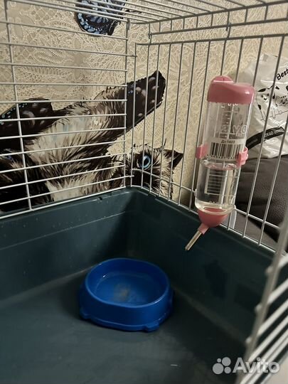 Клетка для декоративного кролика