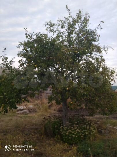 Участок 12 сот. (СНТ, ДНП)