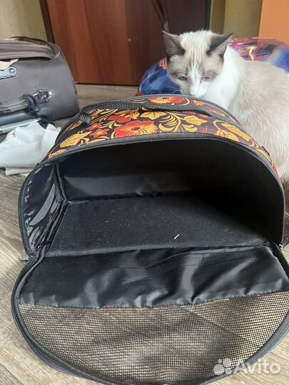 Переноска для кошек, котят, мелких собак